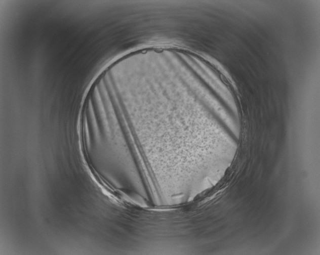 X0000082171343200702092234