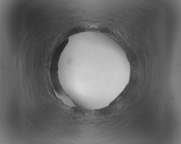 X0000082171345200702092233