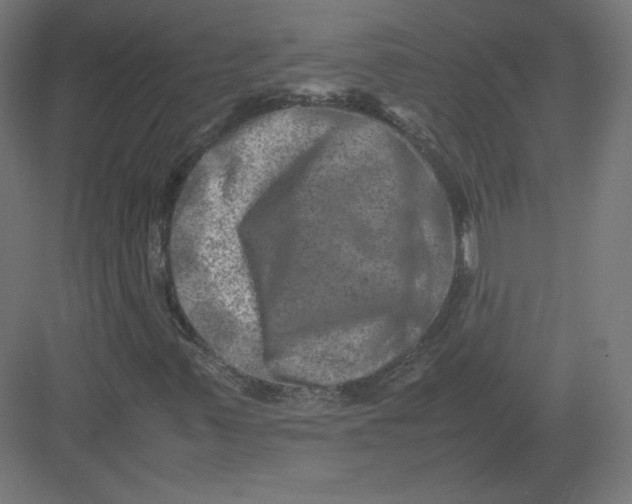 X0000082171347200702092233