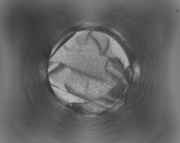 X0000082171348200702092233