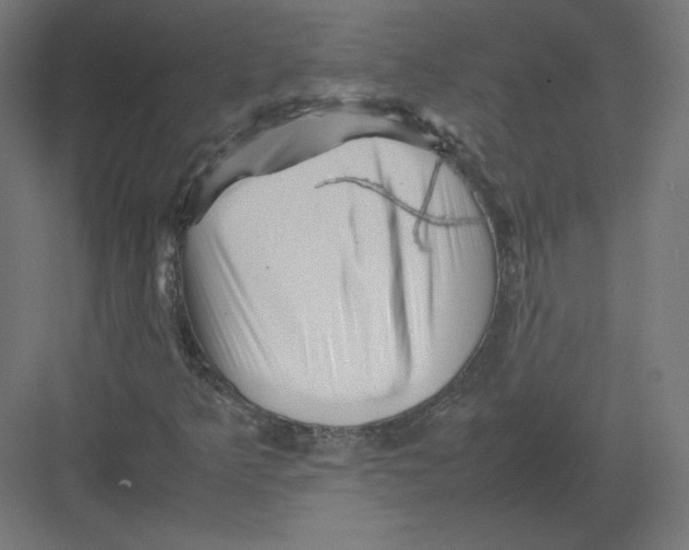 X0000082171349200702092233