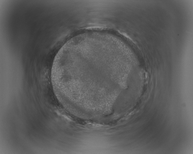 X0000082171351200702092233