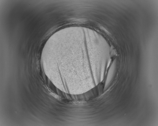 X0000082171354200702092233