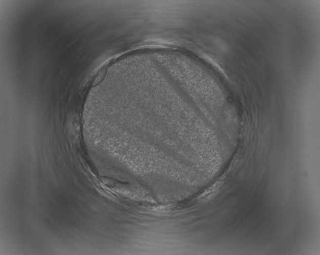 X0000082171355200702092233