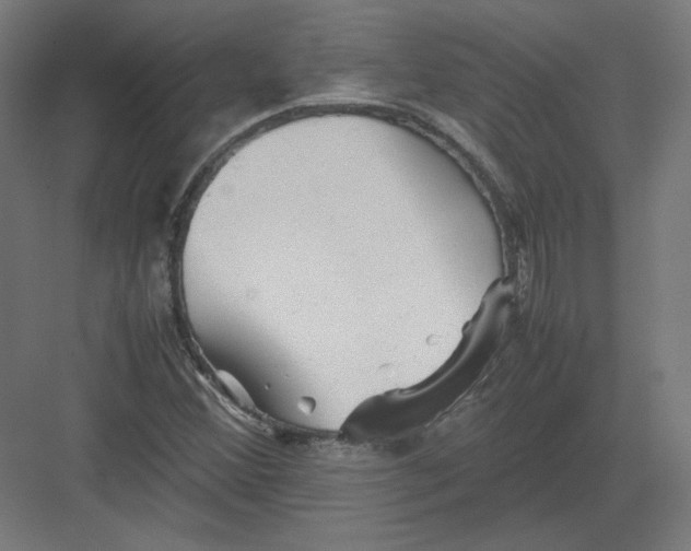 X0000082171356200702092233