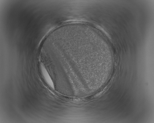 X0000082171357200702092233