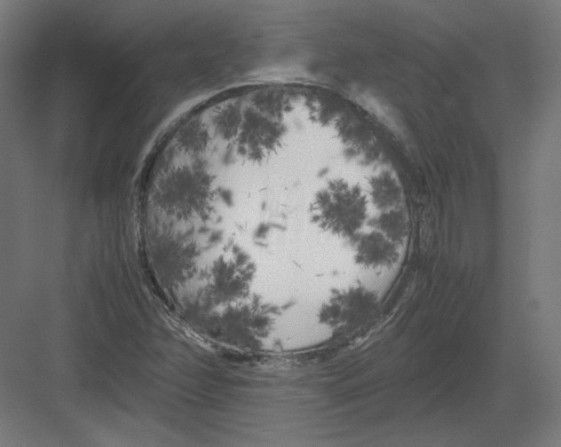 X0000082171358200702092233