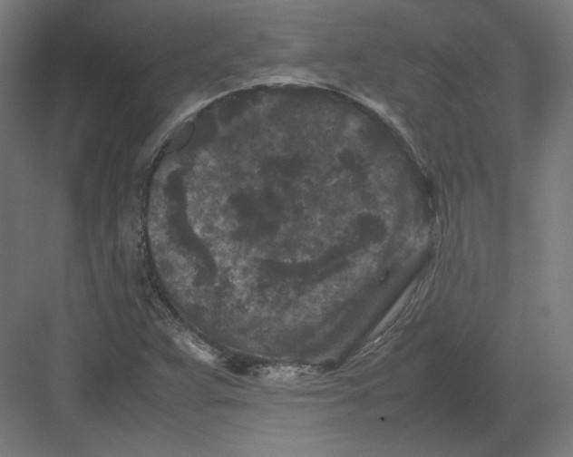 X0000082171359200702092233