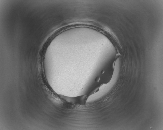 X0000082171360200702092233