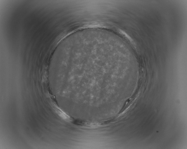 X0000082171361200702092232