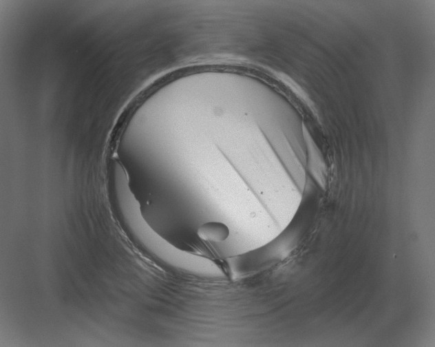 X0000082171364200702092232