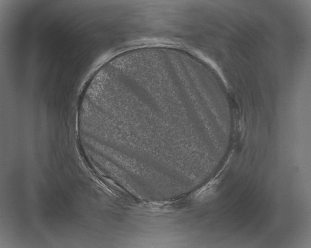 X0000082171365200702092232