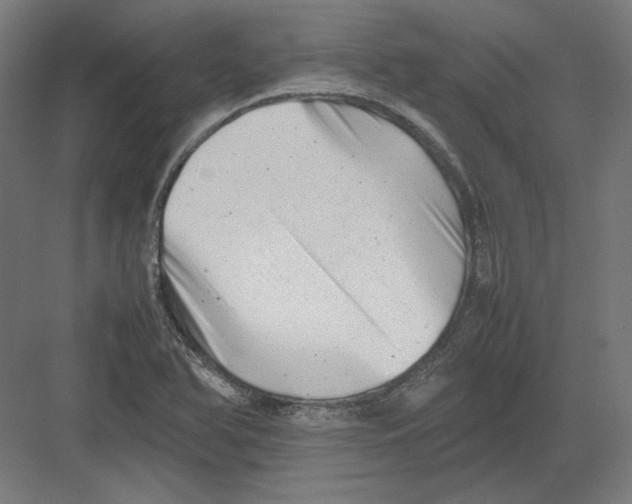 X0000082171366200702092232