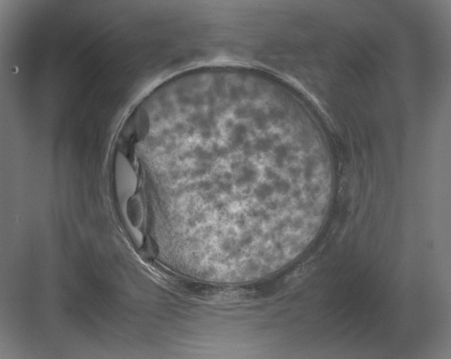 X0000082171367200702092232