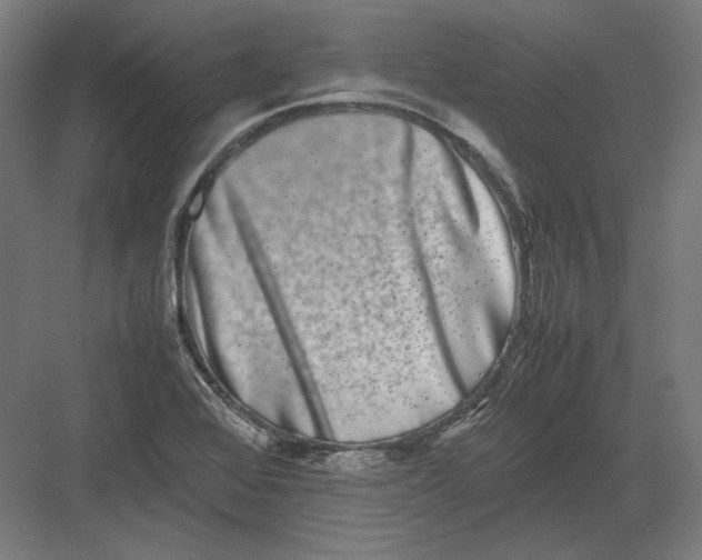 X0000082171368200702092232