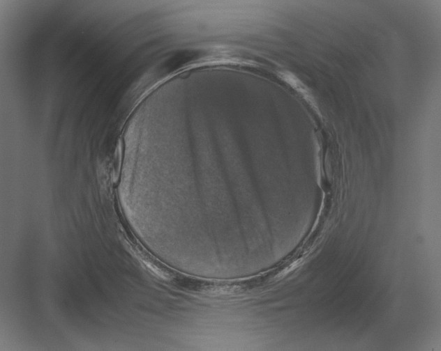 X0000082171369200702092232