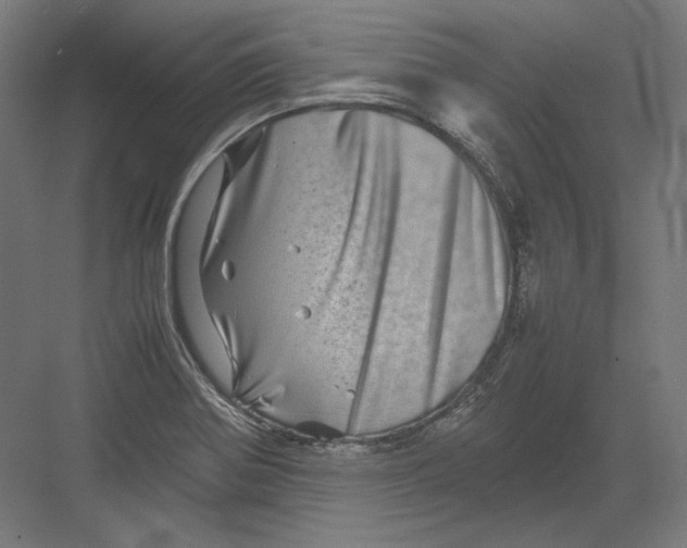 X0000082171370200702092232