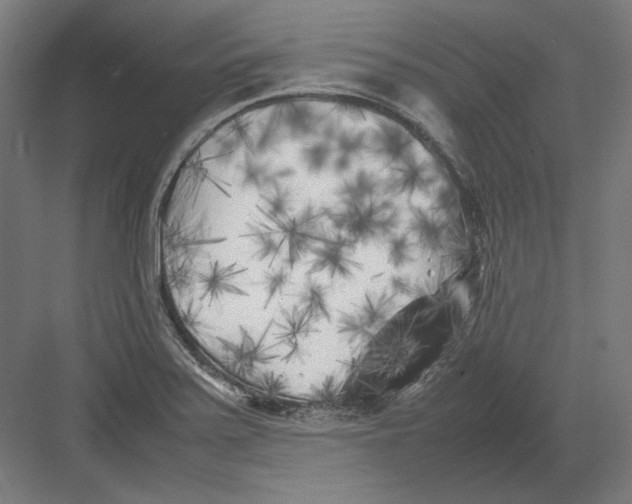 X0000082171371200702092232