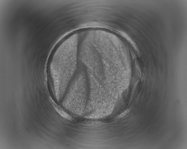 X0000082171372200702092232