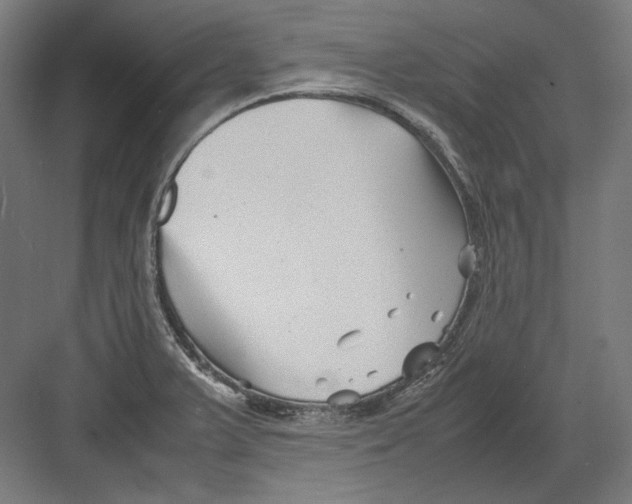 X0000082171375200702092232