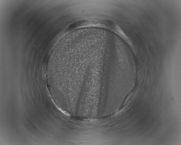 X0000082171377200702092232