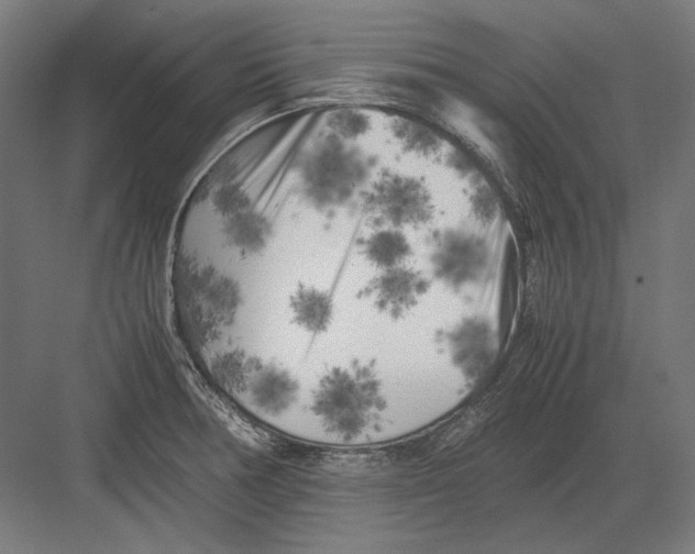 X0000082171378200702092232