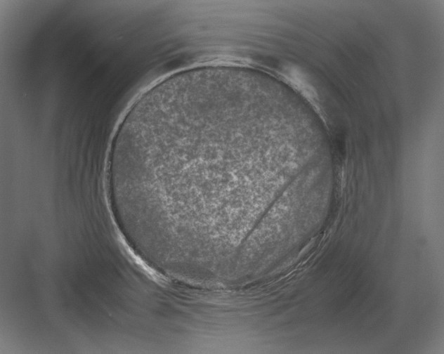 X0000082171379200702092232