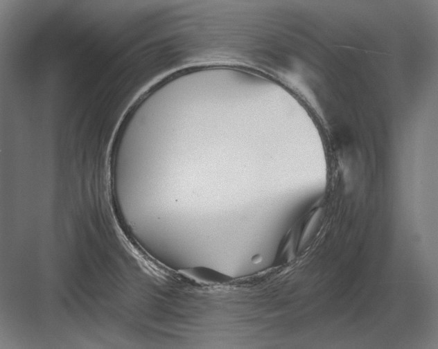 X0000082171380200702092232