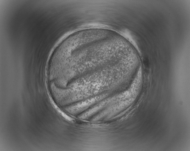 X0000082171381200702092232