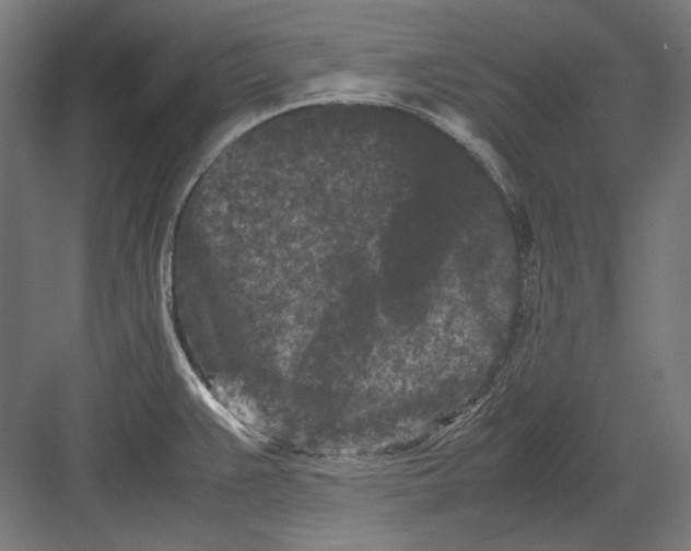 X0000082171383200702092232