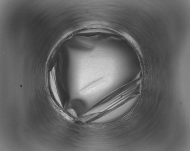 X0000082171384200702092232