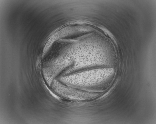 X0000082171385200702092232