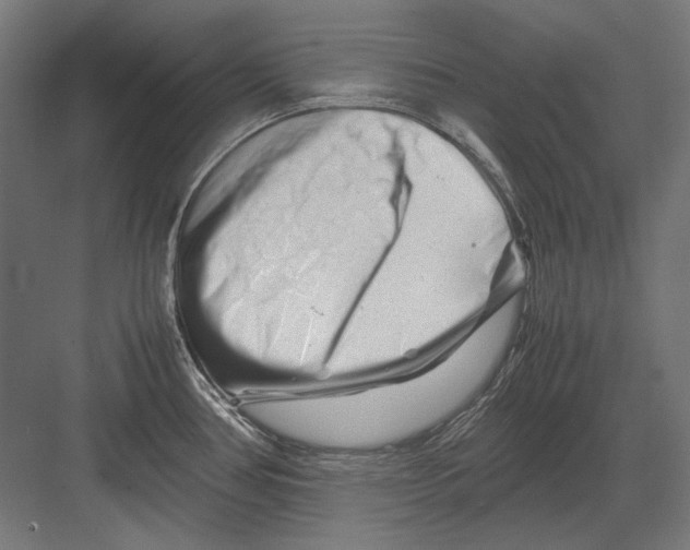 X0000082171386200702092232