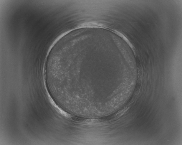 X0000082171387200702092232