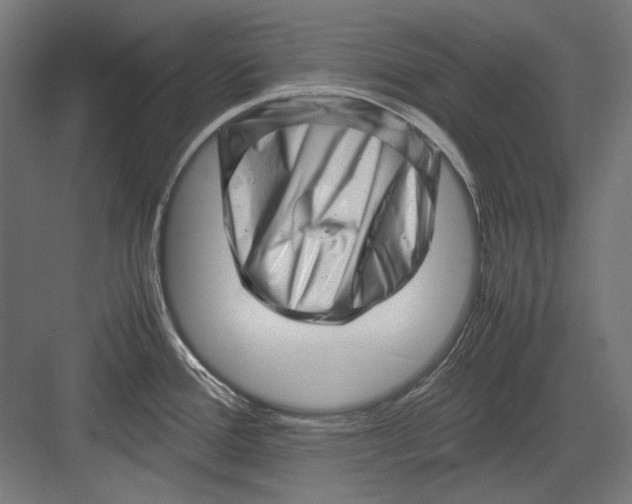 X0000082171388200702092232