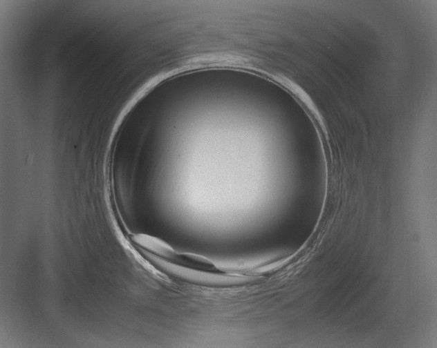 X0000082171389200702092232