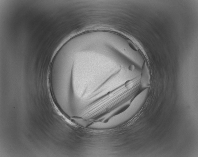 X0000082171390200702092232