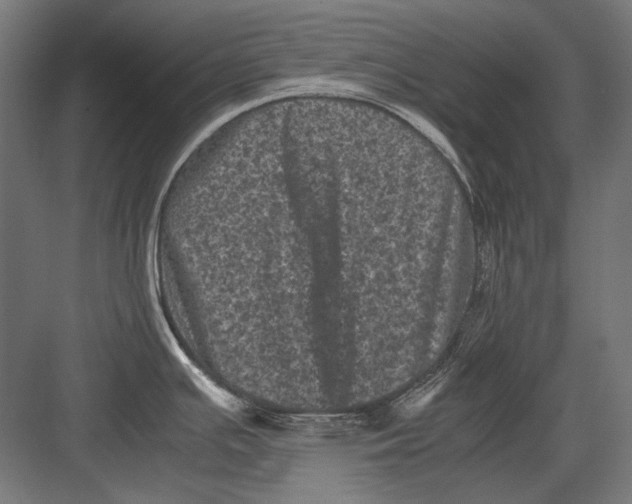 X0000082171391200702092232