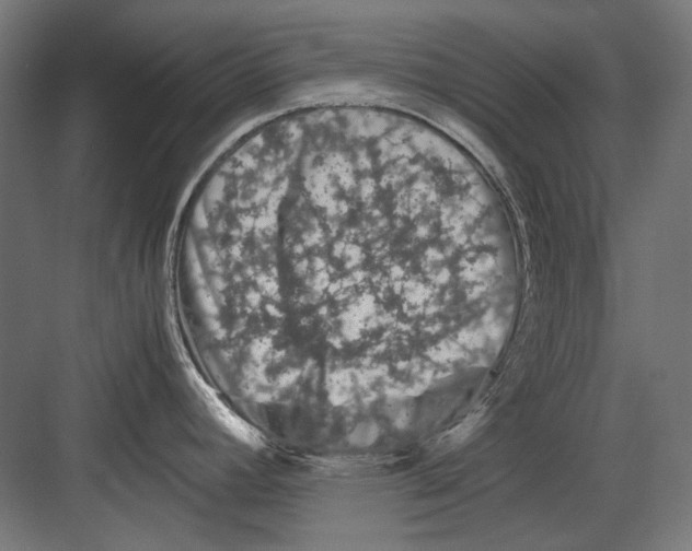 X0000082171392200702092232