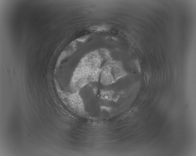 X0000082171393200702092231