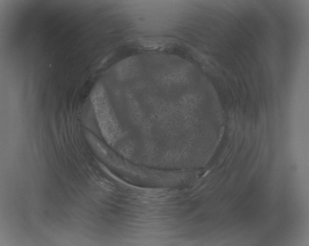 X0000082171394200702092231