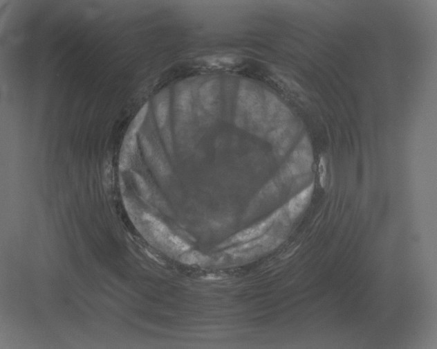 X0000082171395200702092231