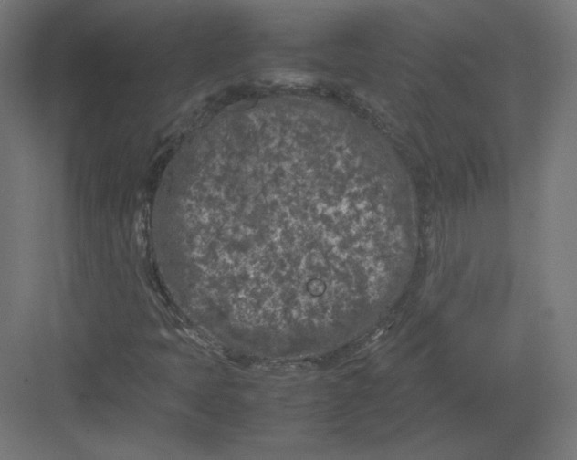 X0000082171397200702092231