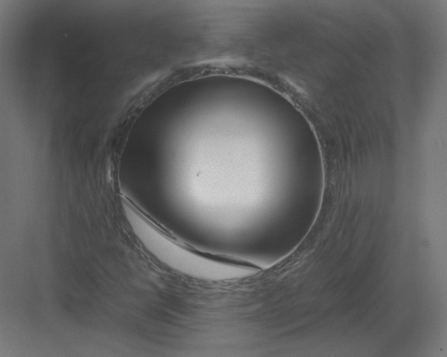 X0000082171398200702092231