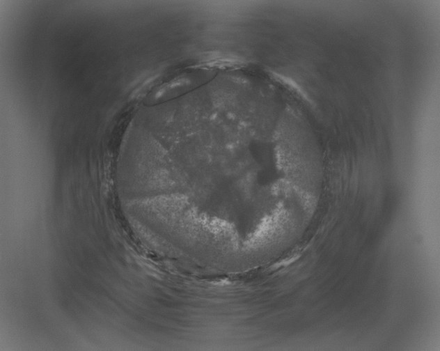 X0000082171399200702092231