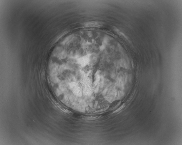 X0000082171401200702092231