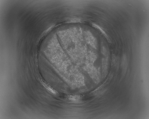 X0000082171403200702092231