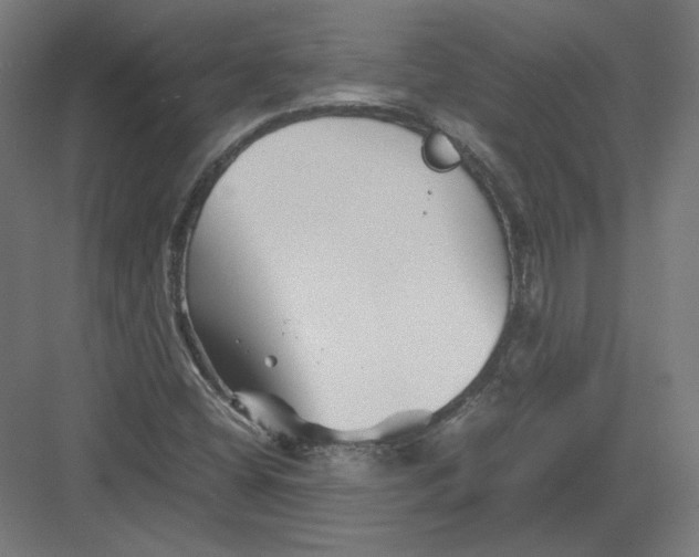 X0000082171404200702092231