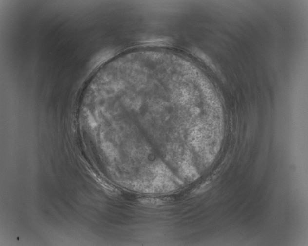 X0000082171405200702092231