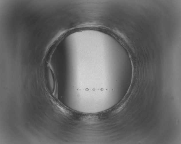 X0000082171406200702092231